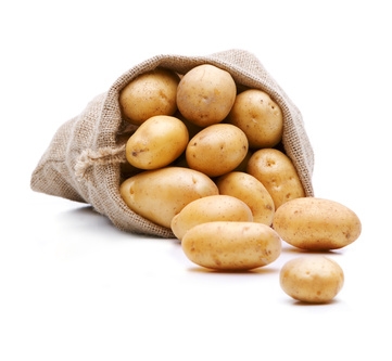 Frische Bio Kartoffeln - 1 kg