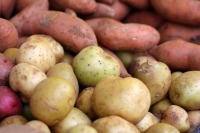 Frische verschiedene Kartoffeln - 3kg