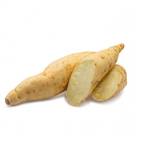 Frische weiß Süßkartoffeln - 1kg